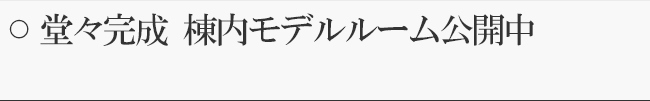 堂々完成 棟内モデルルーム公開中