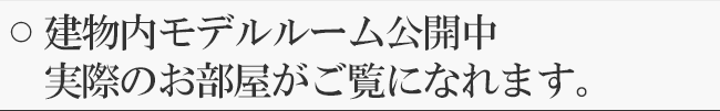 建物内モデルルーム公開中 実際のお部屋がご覧になれます。